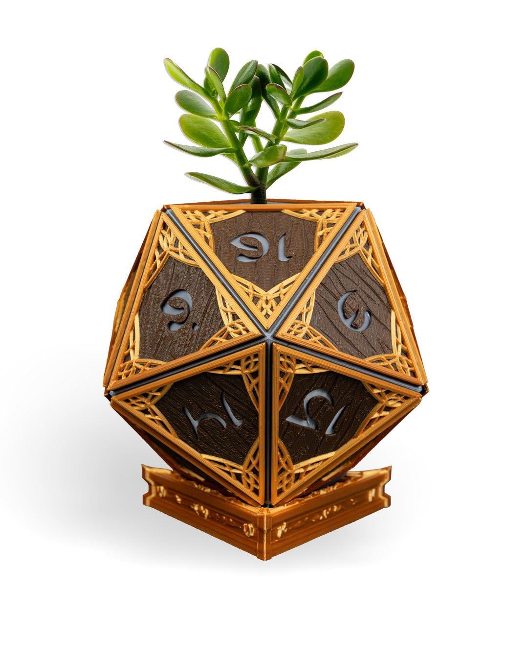 elven-d20-dekoratif-saksi-236885.jpg
