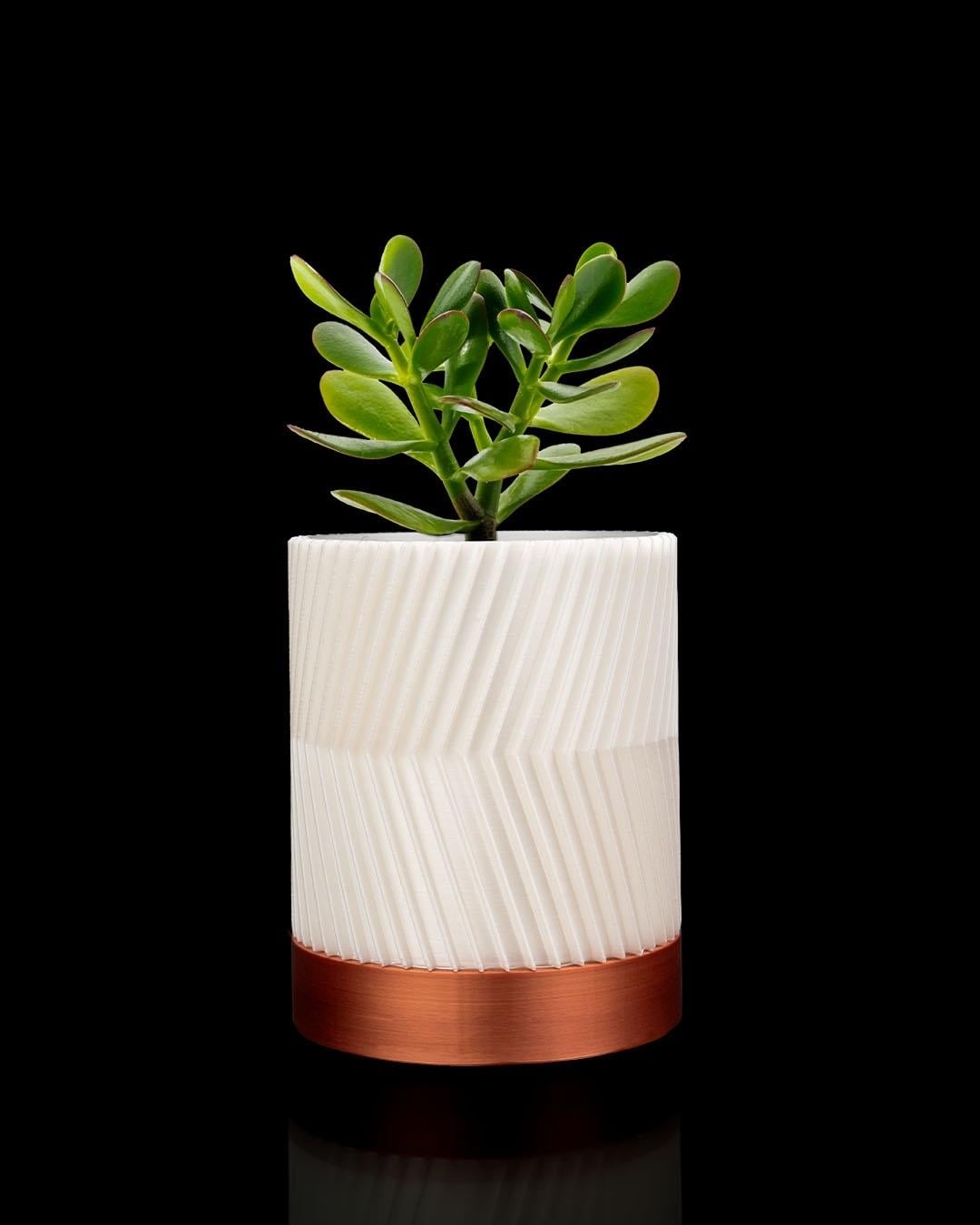 Greennest Mini Duvar Saksısı Sukulent Dekoratif Duvar Saksısı