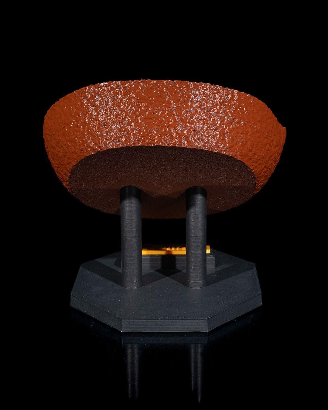 hayvan-hucresi-modeli--4627-.jpg