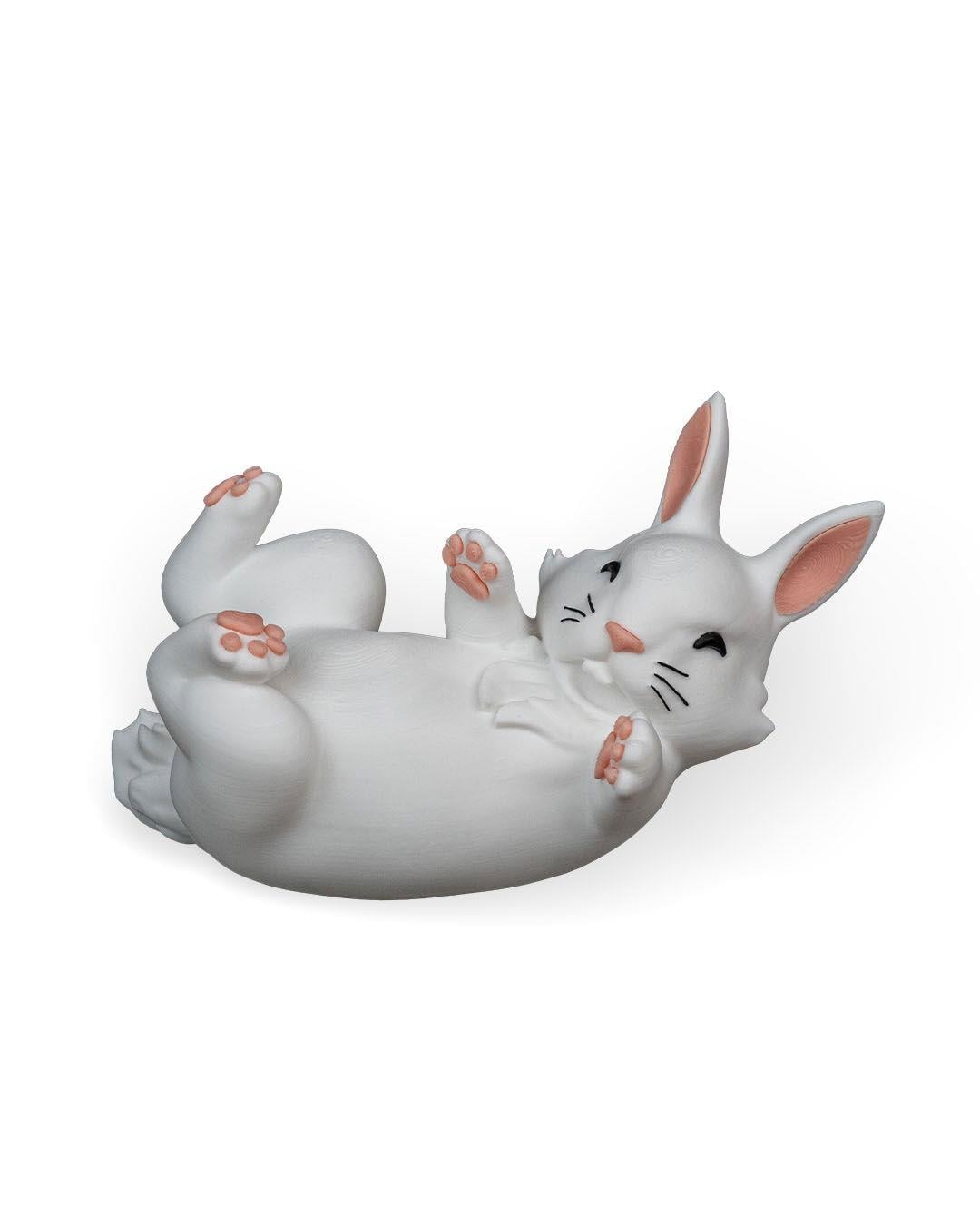 hungry-rabbit-aksesuar-69-a8c.jpg