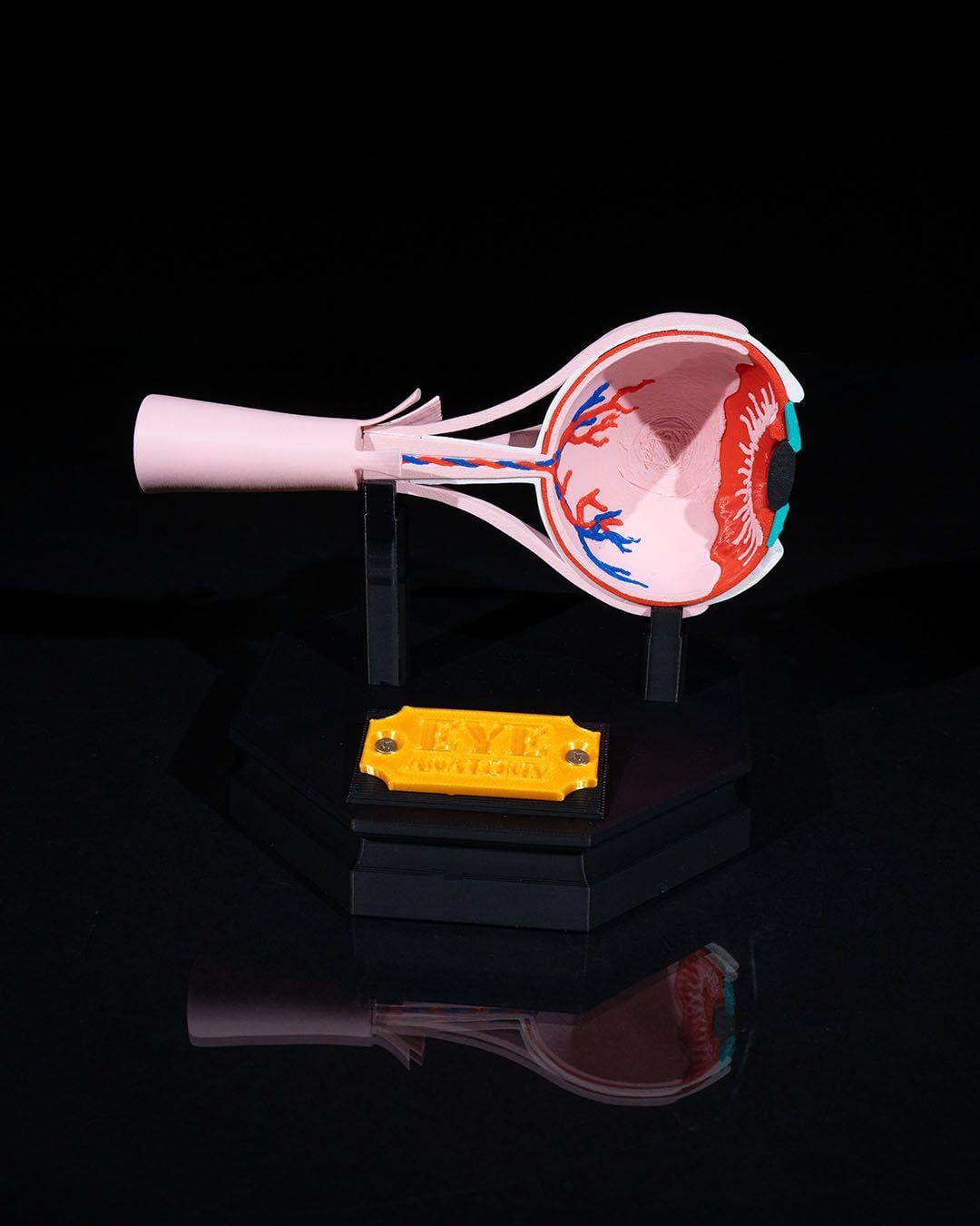 insan-gozu-modeli-a0-c4a.jpg