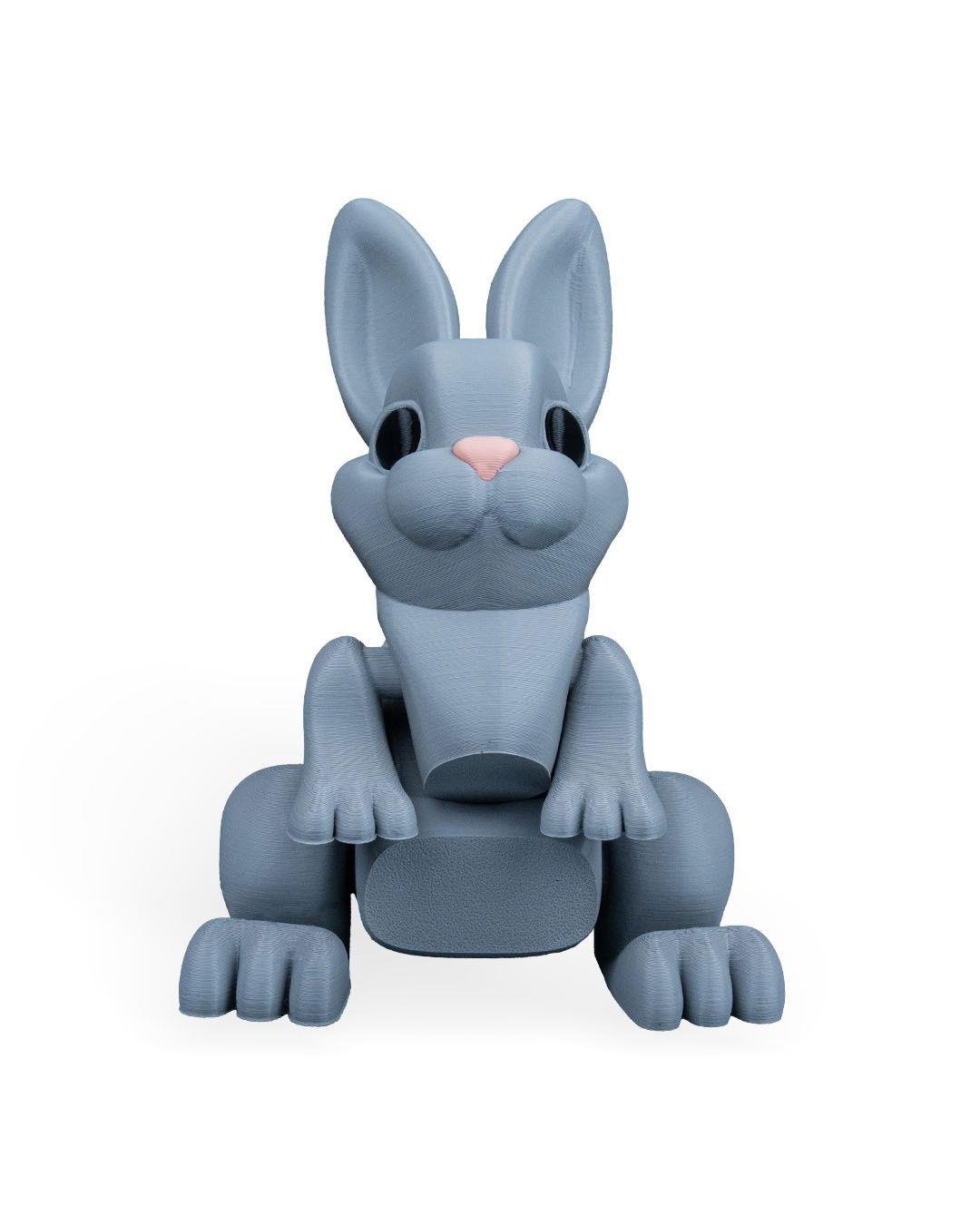 jumpy-bunny-figuru-2c5f61.jpg