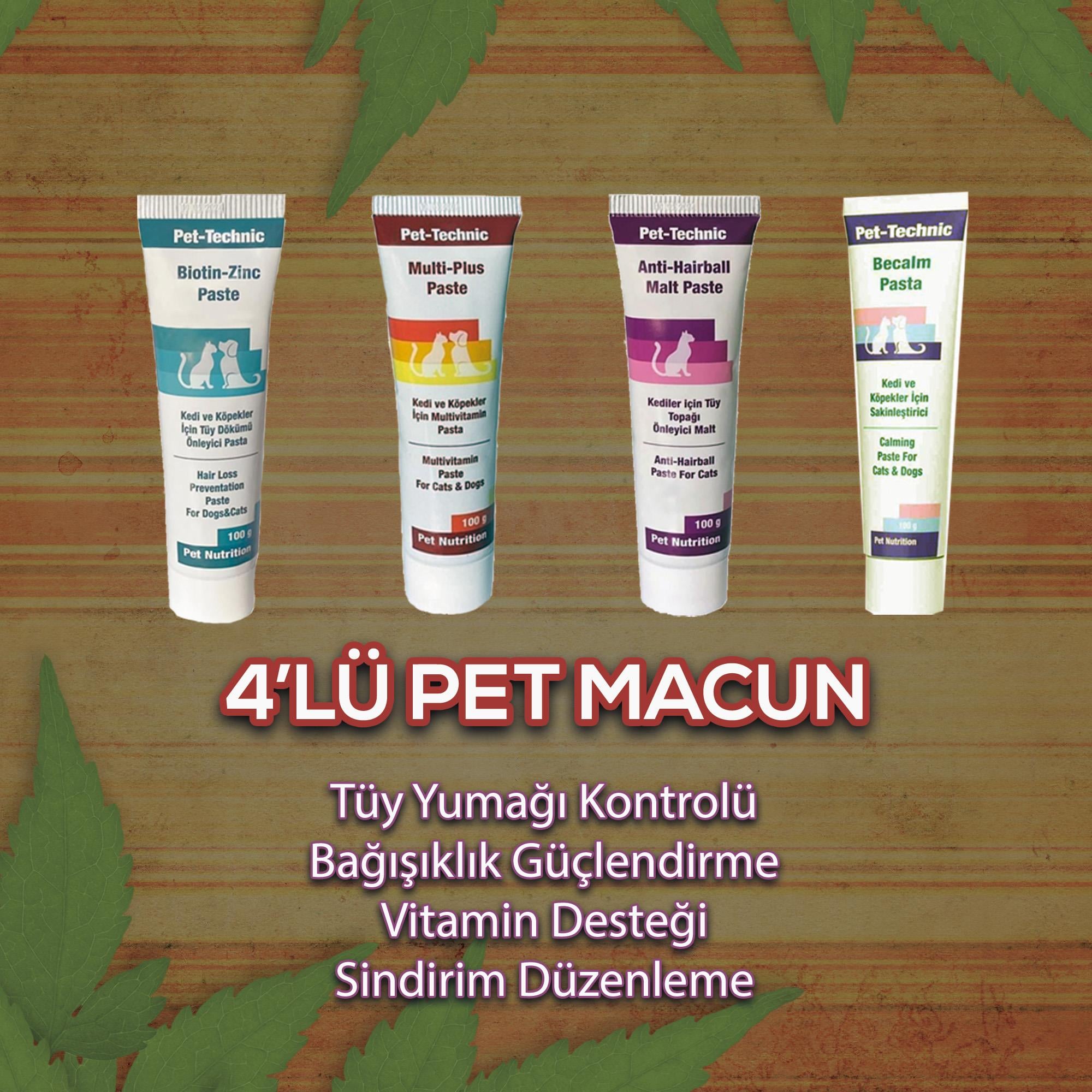 Kedi ve Köpekler İçin 4'lü Vitaminli Pet Macun Seti