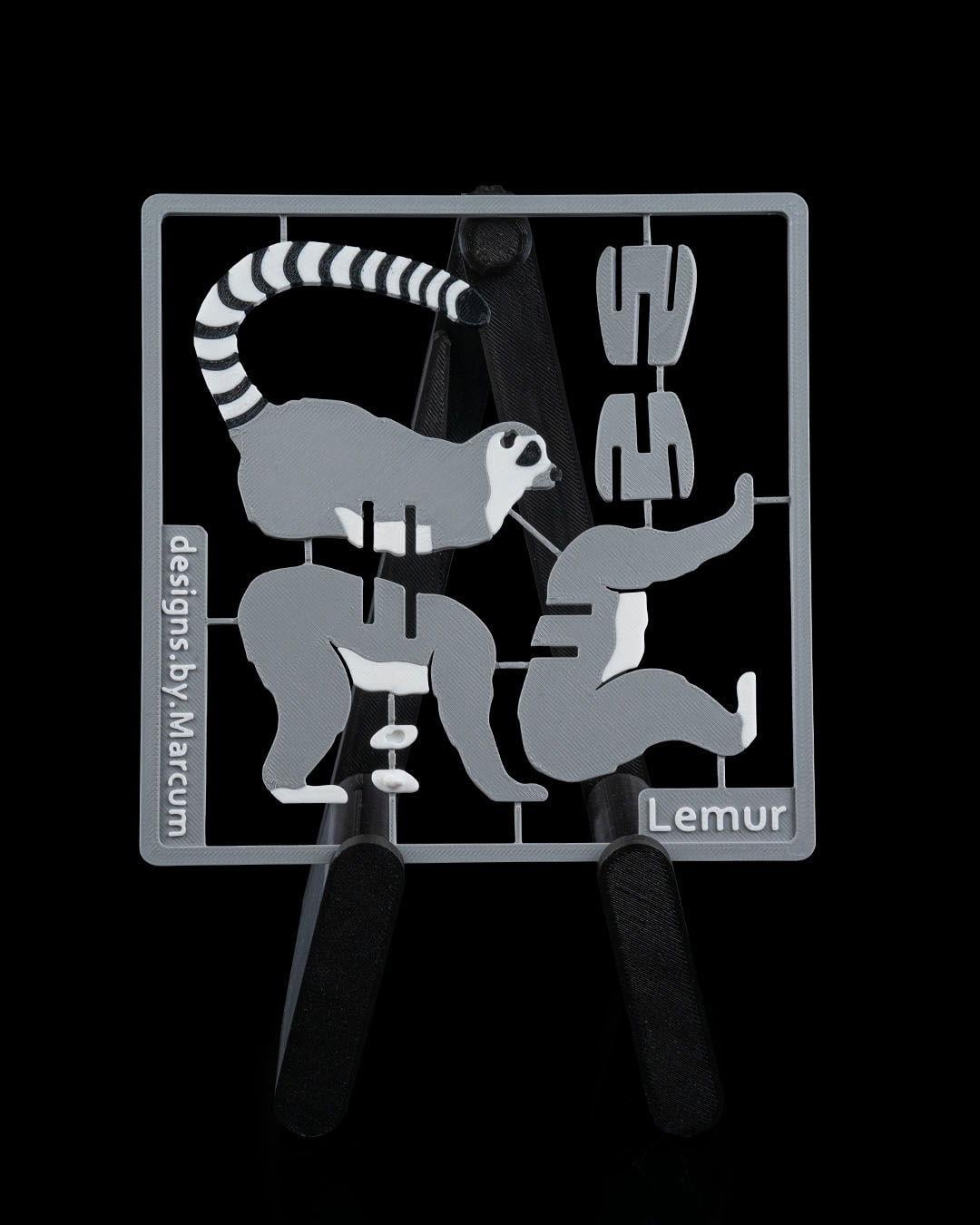 lemur-kit-kart--4131-.jpg