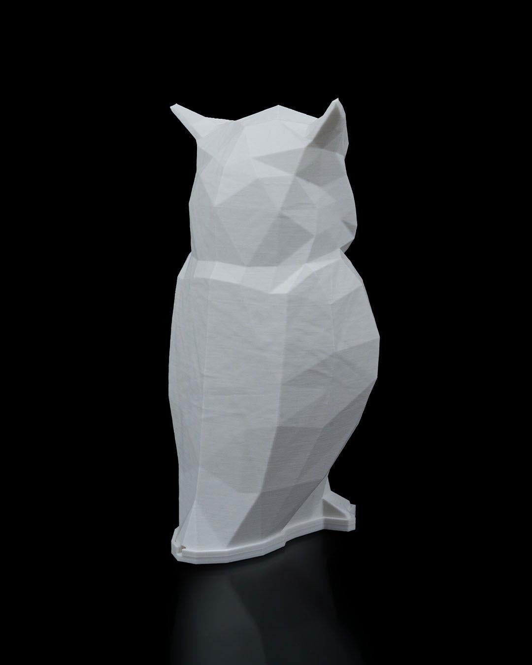 low-poly-baykus-masa-lambasi--a2a7-.jpg
