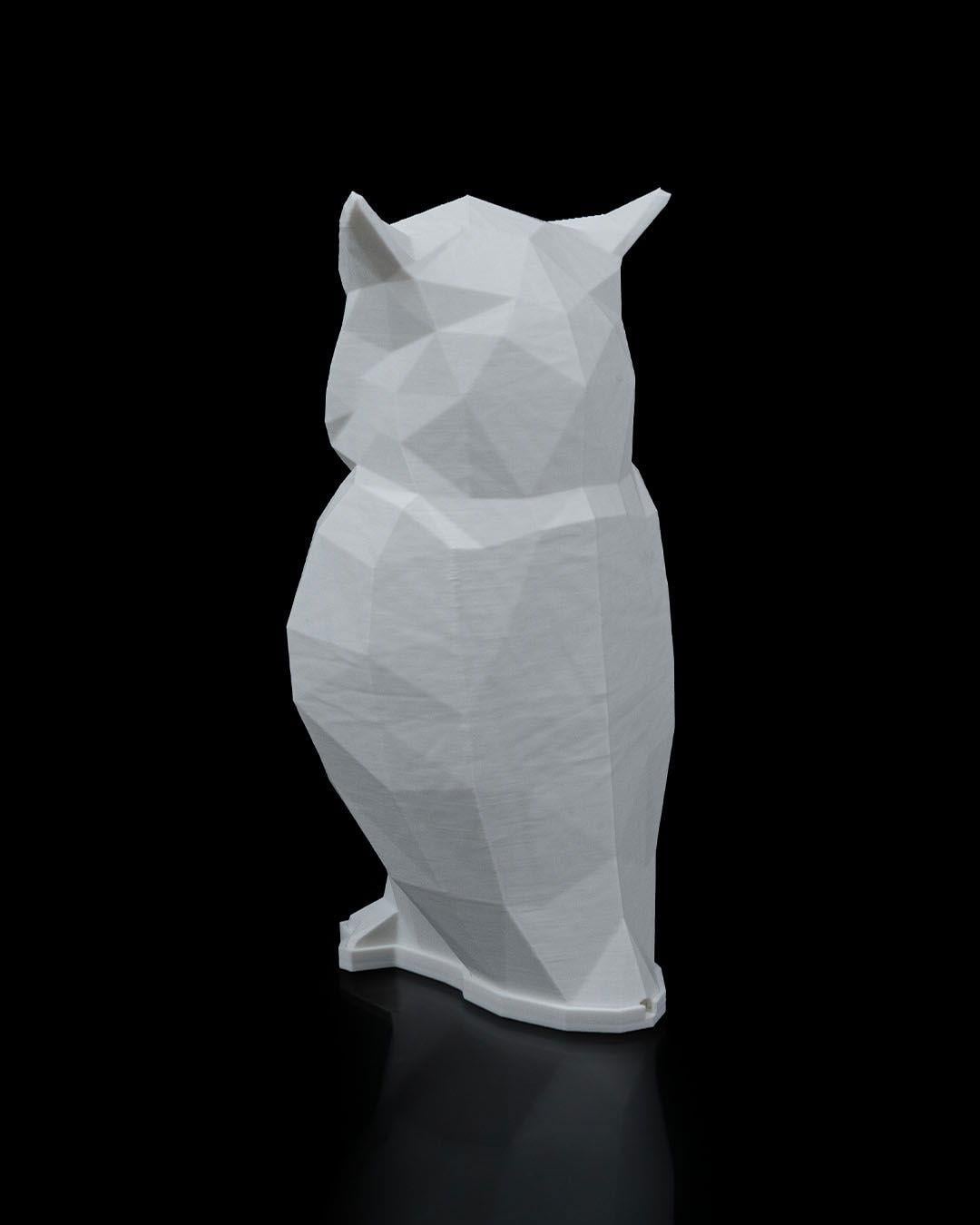 low-poly-baykus-masa-lambasi-5820cf.jpg