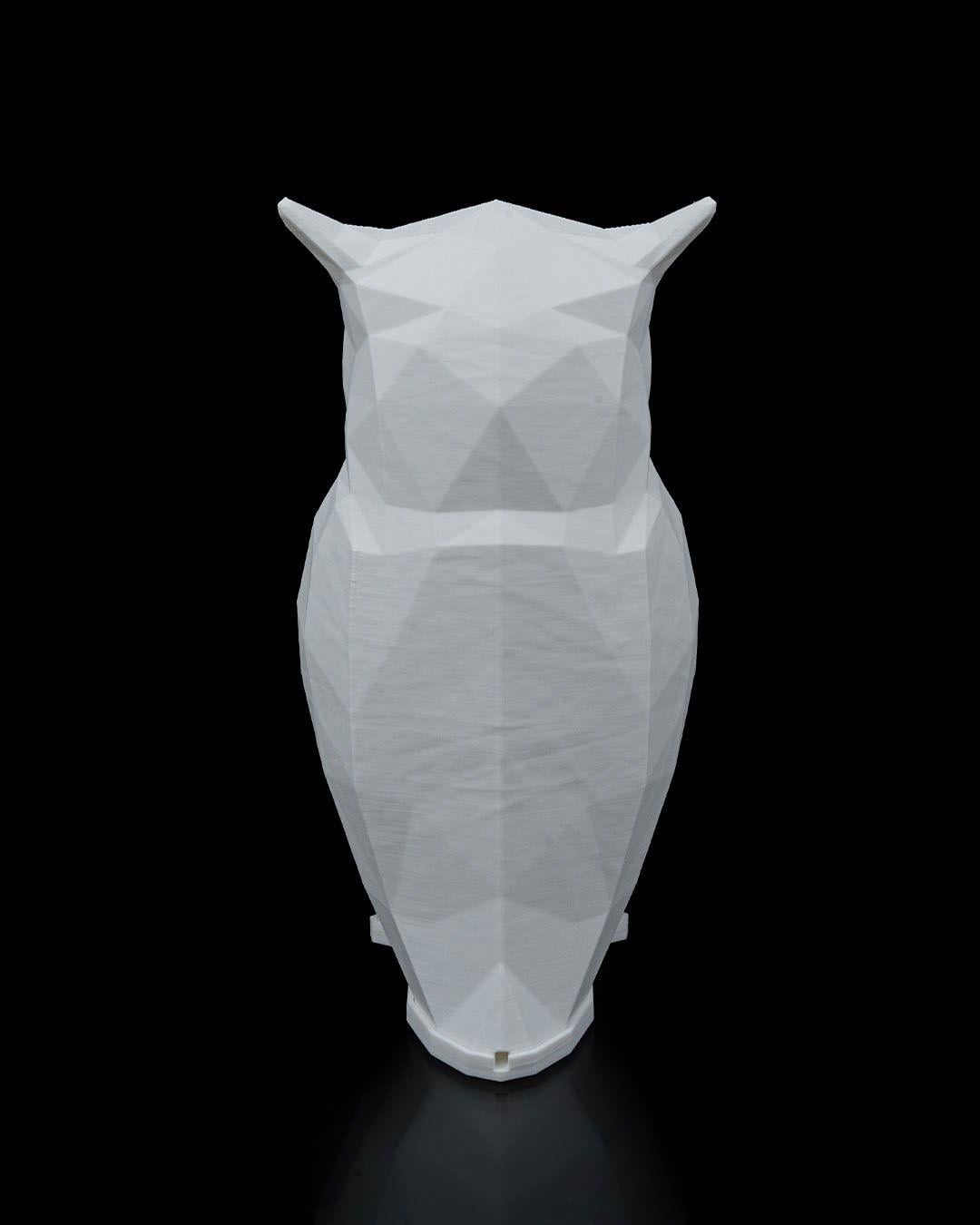 low-poly-baykus-masa-lambasi-ea2b74.jpg