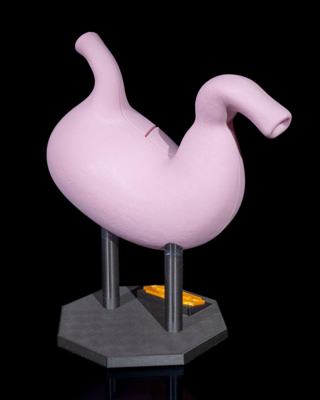 mide-anatomik-model-2-9dd1.jpg