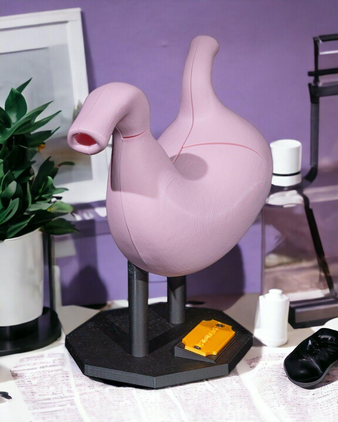mide-anatomik-model-7-d7ce.jpg