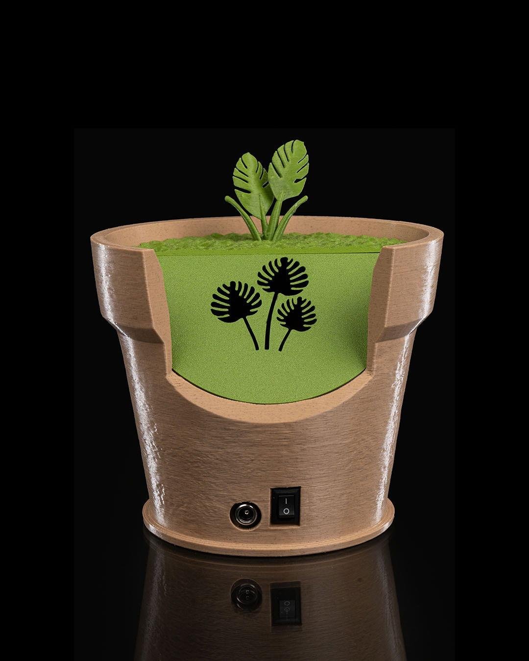 monstera-vazolu-duvar-lambasi-75d676.jpg