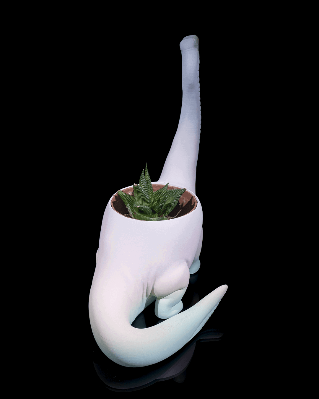 otobur-saksi-on-10a692.png