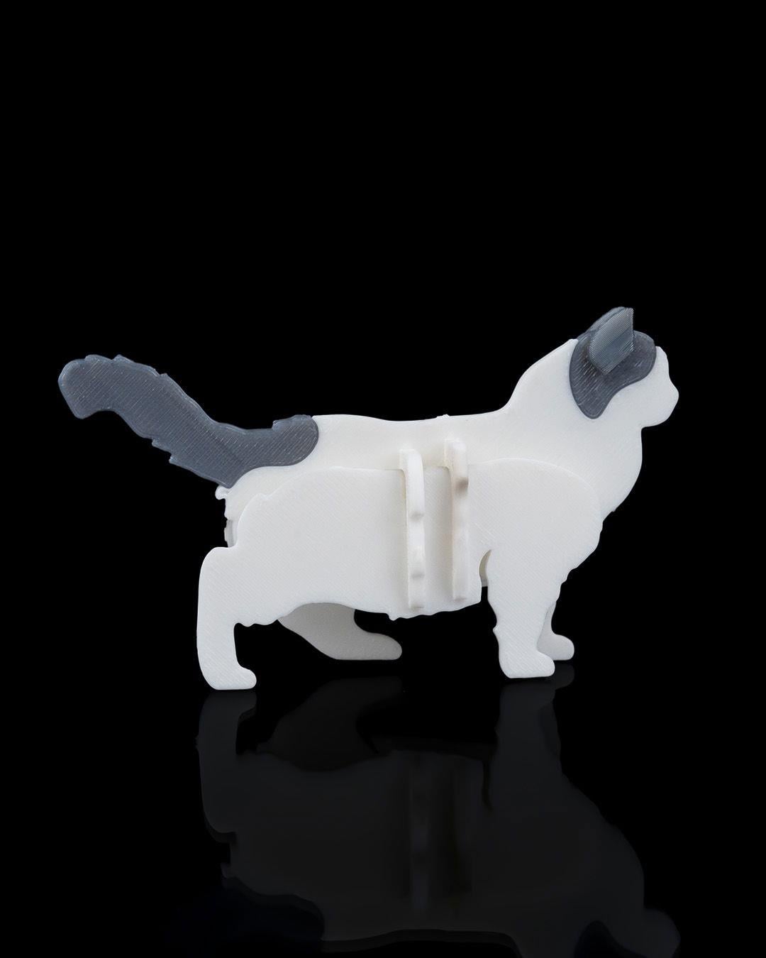 ragdoll-kit-kart-ragdoll-kit-card-5c-014.jpg