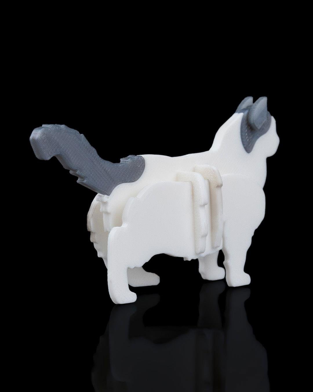 ragdoll-kit-kart-ragdoll-kit-card-85c-8f.jpg