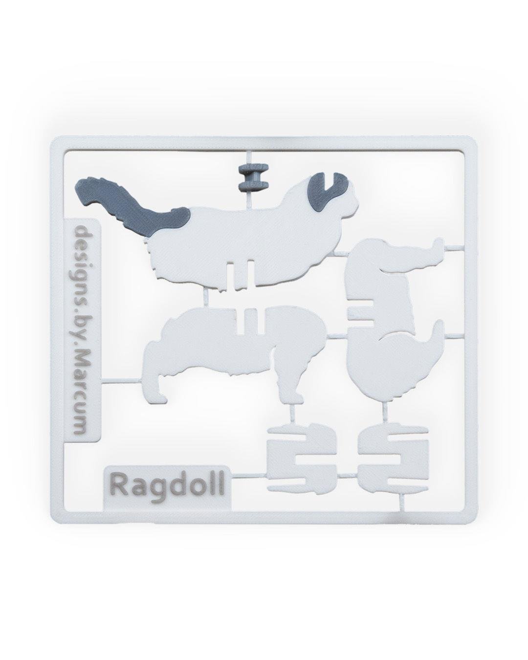 ragdoll-kit-kart-ragdoll-kit-card-d41cad.jpg