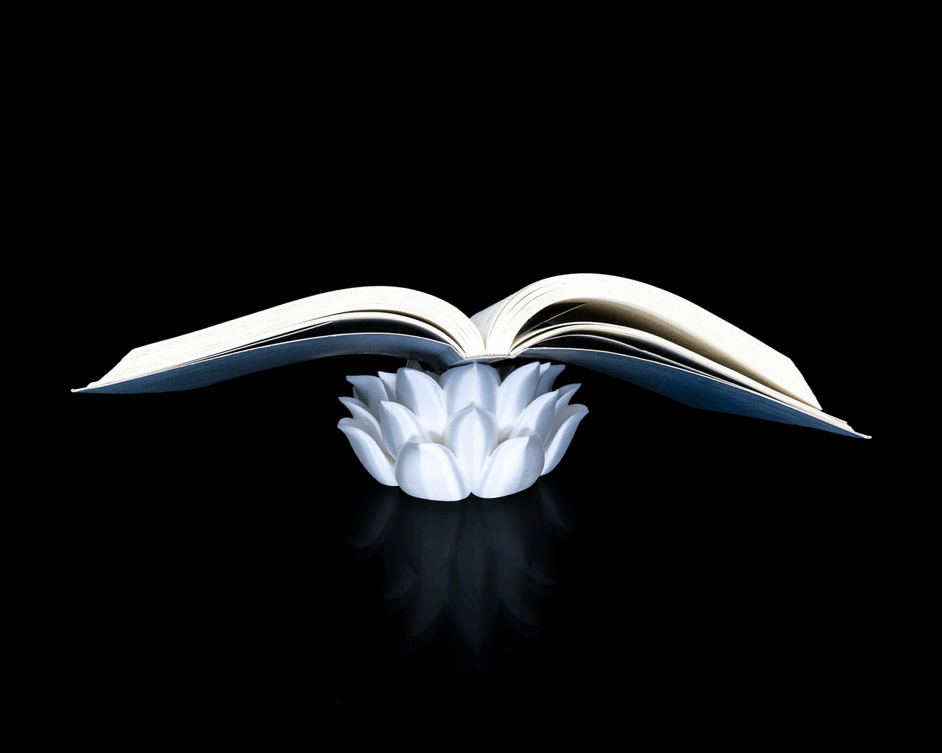 Root of Awakening – Doğal Formlu Kitap Standı