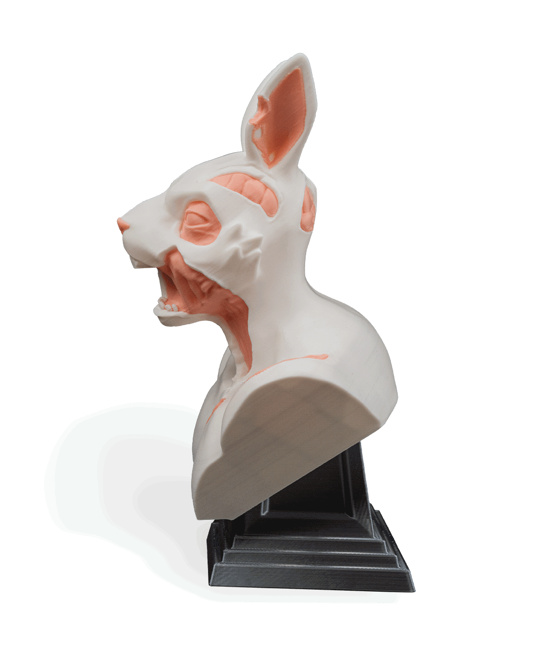 rot-tail-bust-bust--4eeb-.png