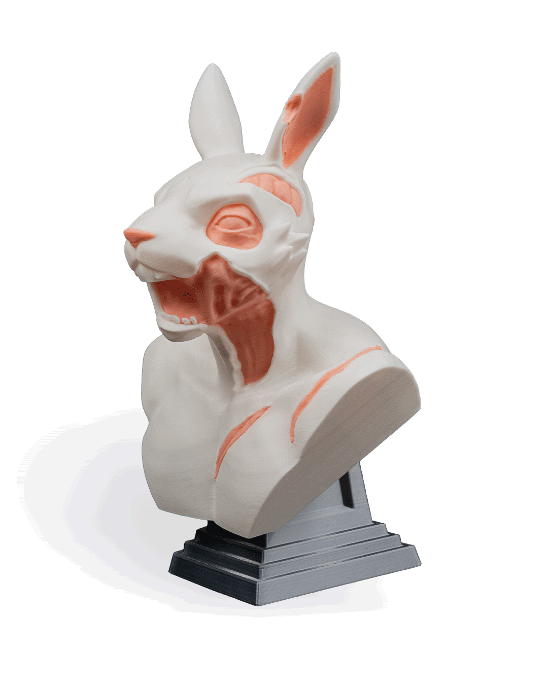rot-tail-bust-bust-6b2e07.png