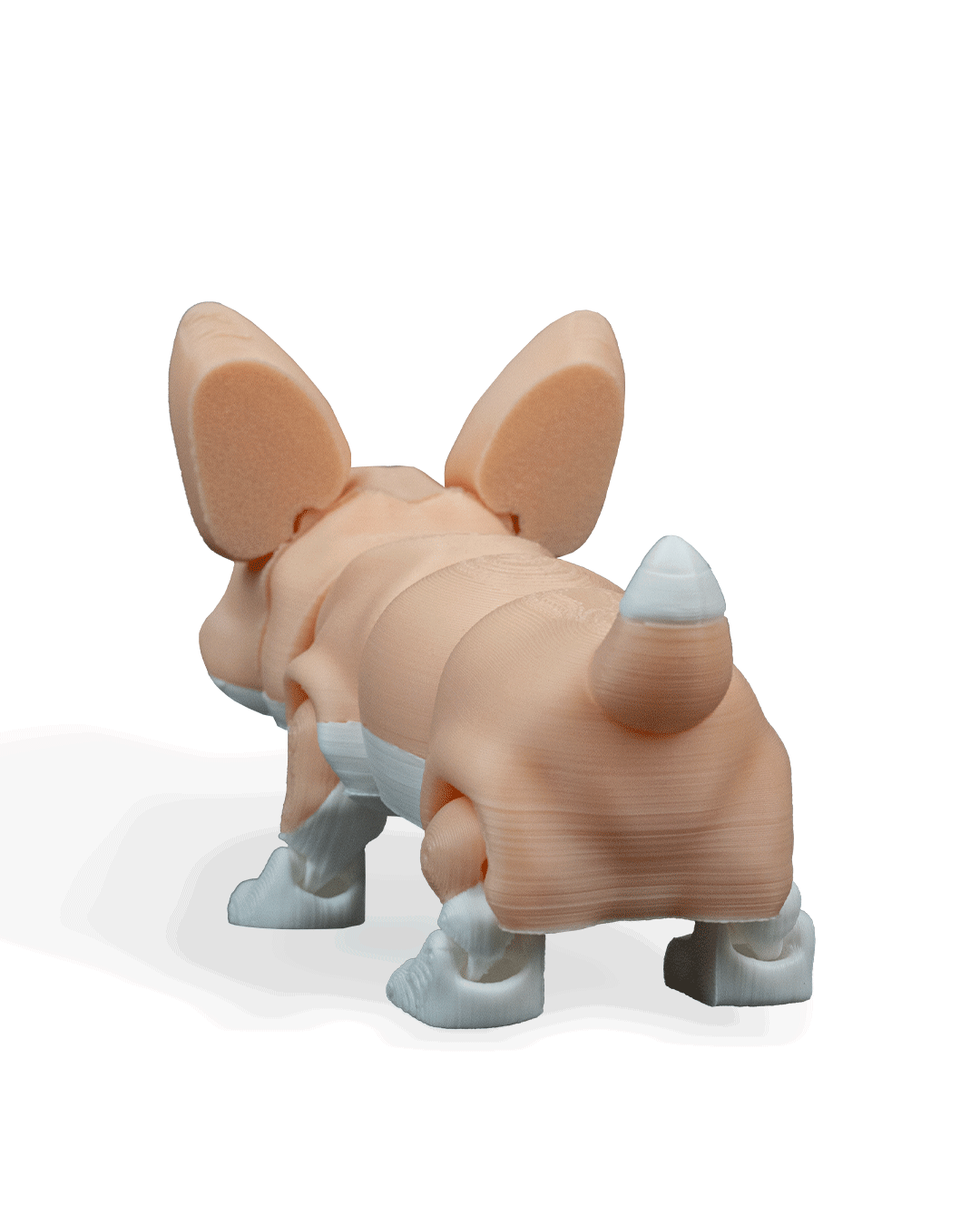 rufus-the-welsh-corgi-aksesuar-07e12c.png