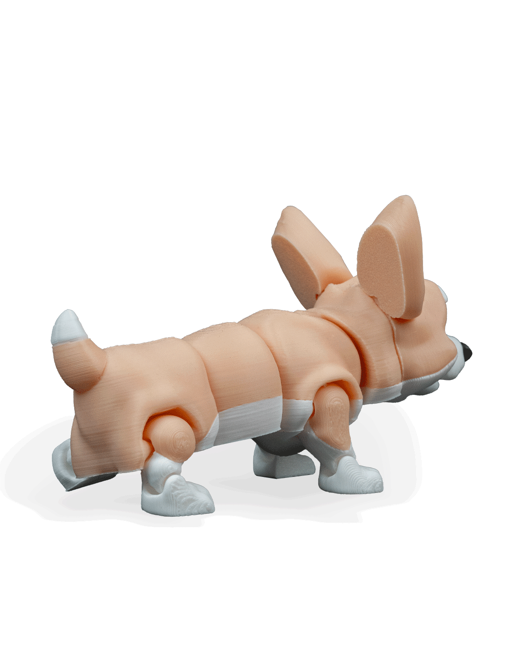 rufus-the-welsh-corgi-aksesuar-20-8af.png