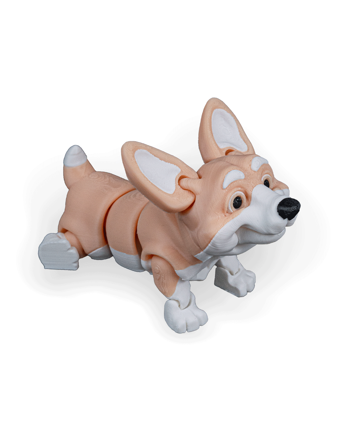 rufus-the-welsh-corgi-aksesuar-5afc44.png