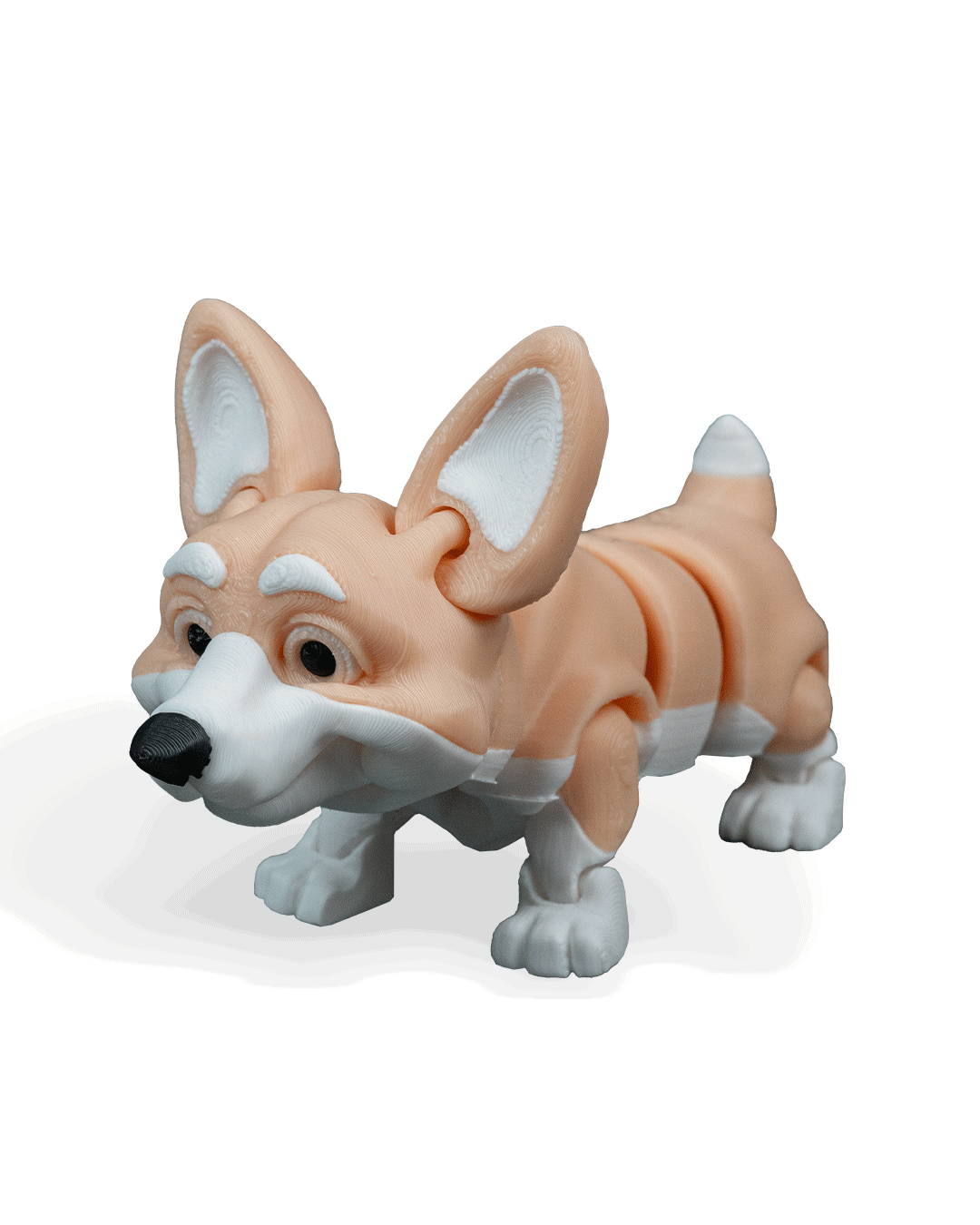 rufus-the-welsh-corgi-aksesuar-b62ef-.png