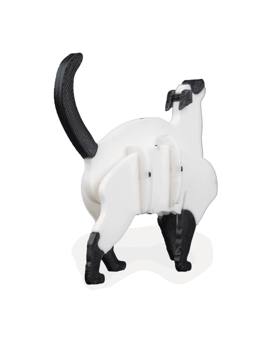 siyam-kedisi-kit-kart-siamese-cat-kit---4f5e-.png