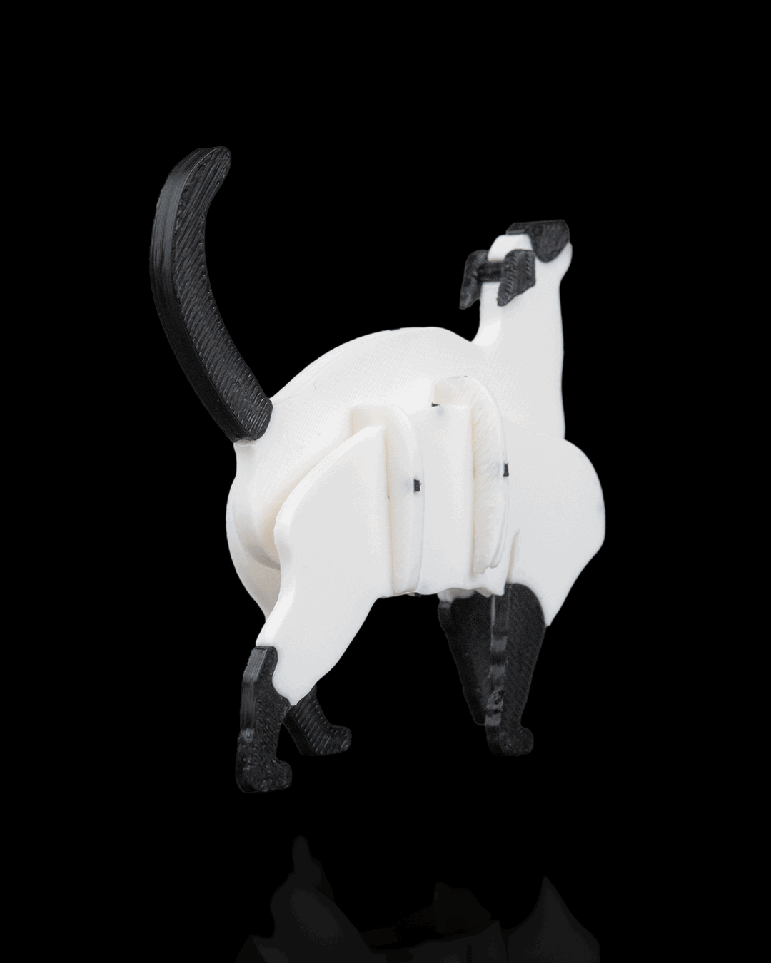 siyam-kedisi-kit-kart-siamese-cat-kit--15-467.png