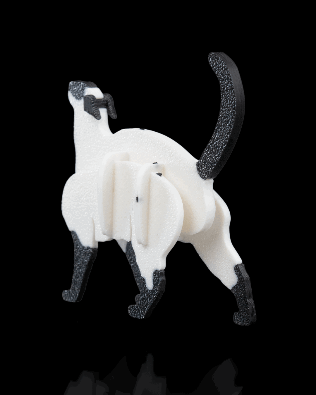 siyam-kedisi-kit-kart-siamese-cat-kit--d19b-4.png