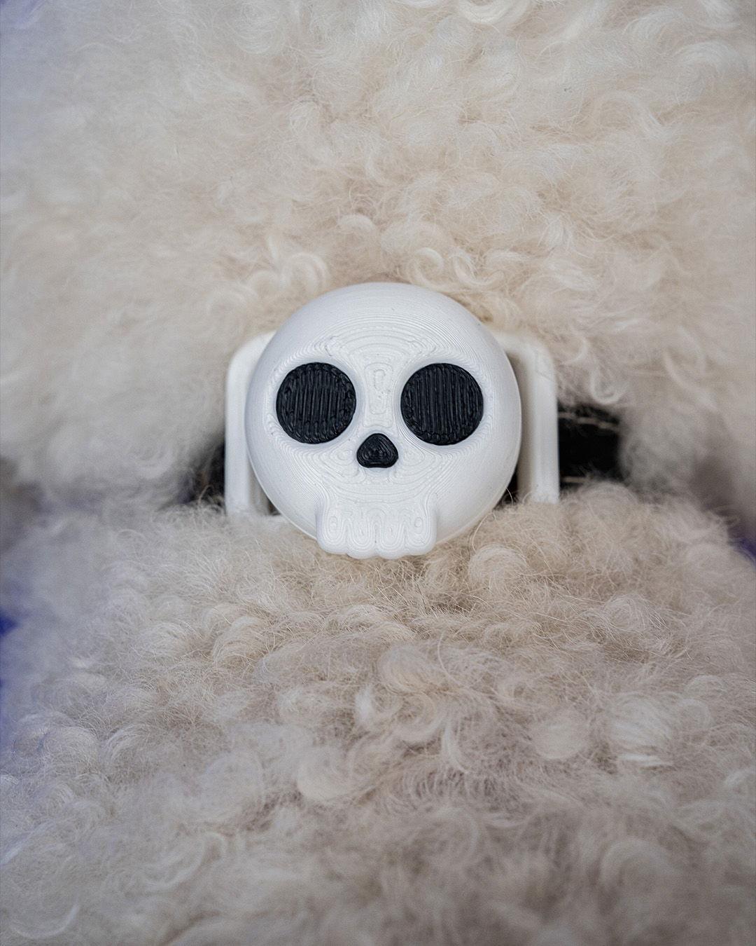 skeletag-kedi-kopek-kunyesi-48f93-.jpg