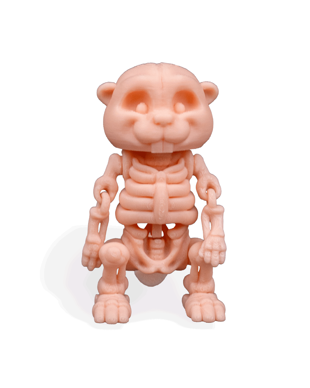 skeleton-beaver-figuru-451-78.png