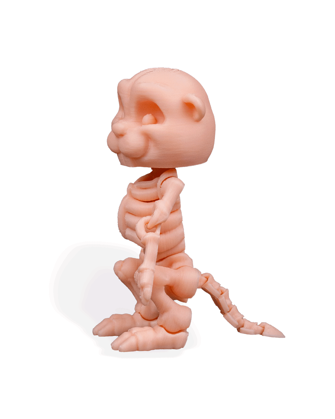 skeleton-beaver-figuru-6-0db9.png