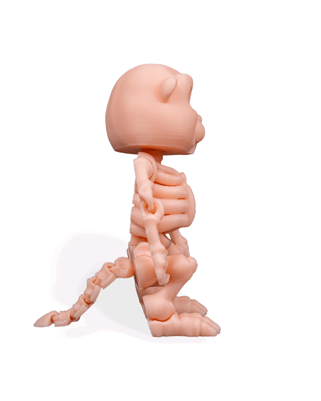 skeleton-beaver-figuru-c7b-9f.png
