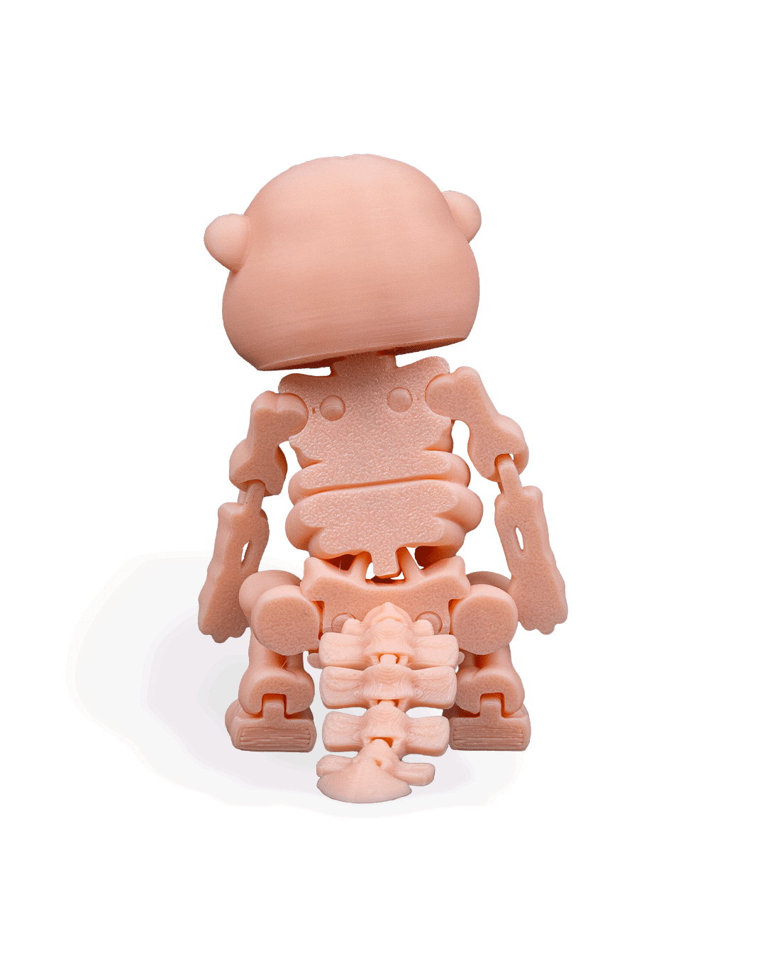 skeleton-beaver-figuru-cc28a2.png