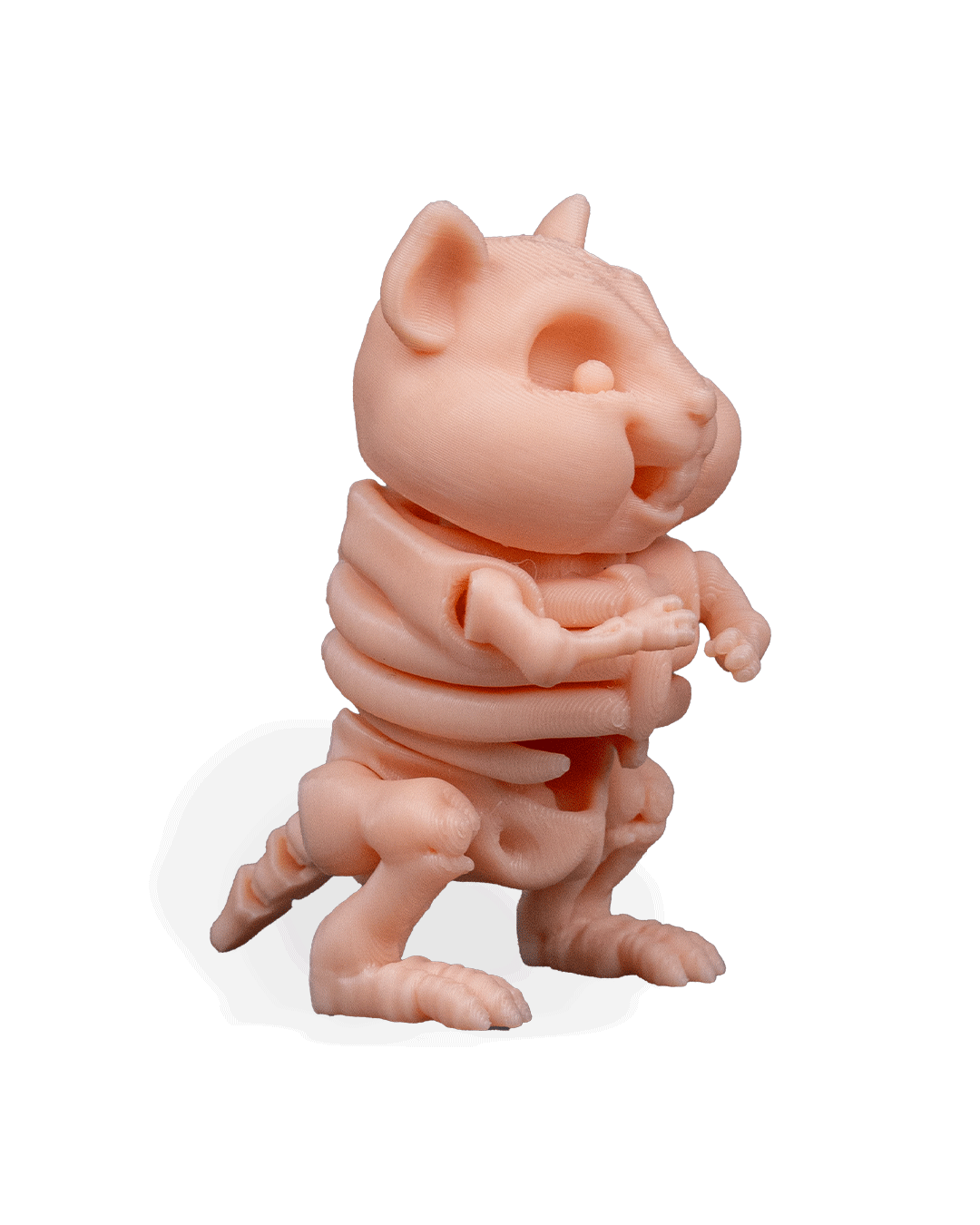 skeleton-hamster-figuru--9bfc-.png