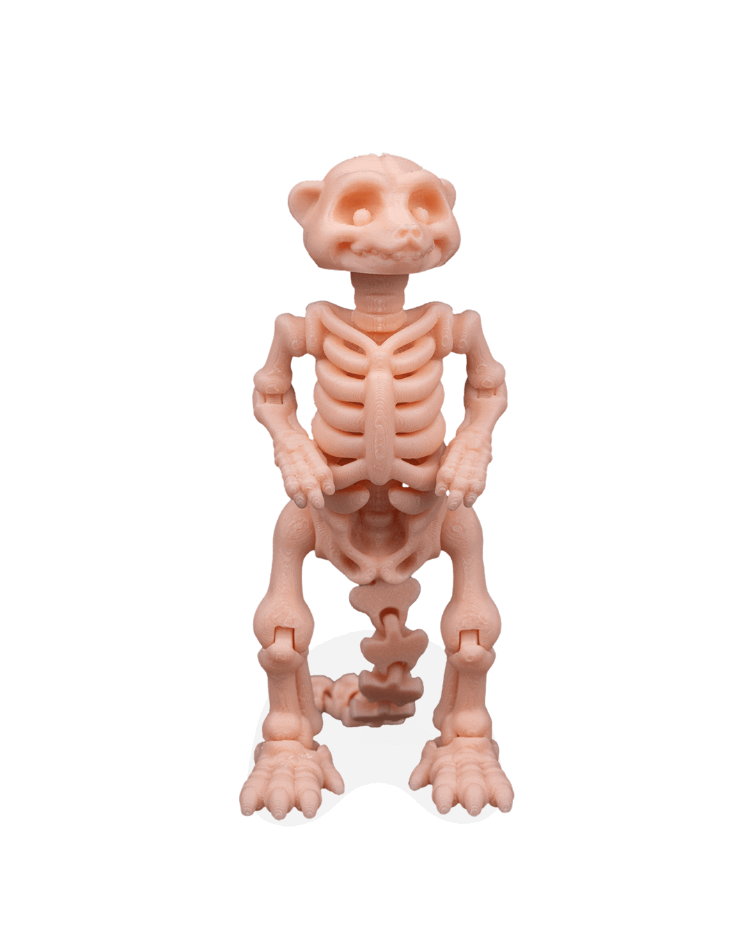 skeleton-meerkat-figuru--b817-.png