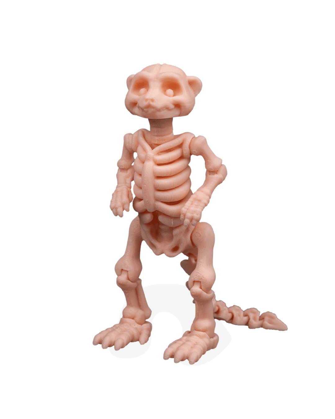 skeleton-meerkat-figuru-2e6eb4.png