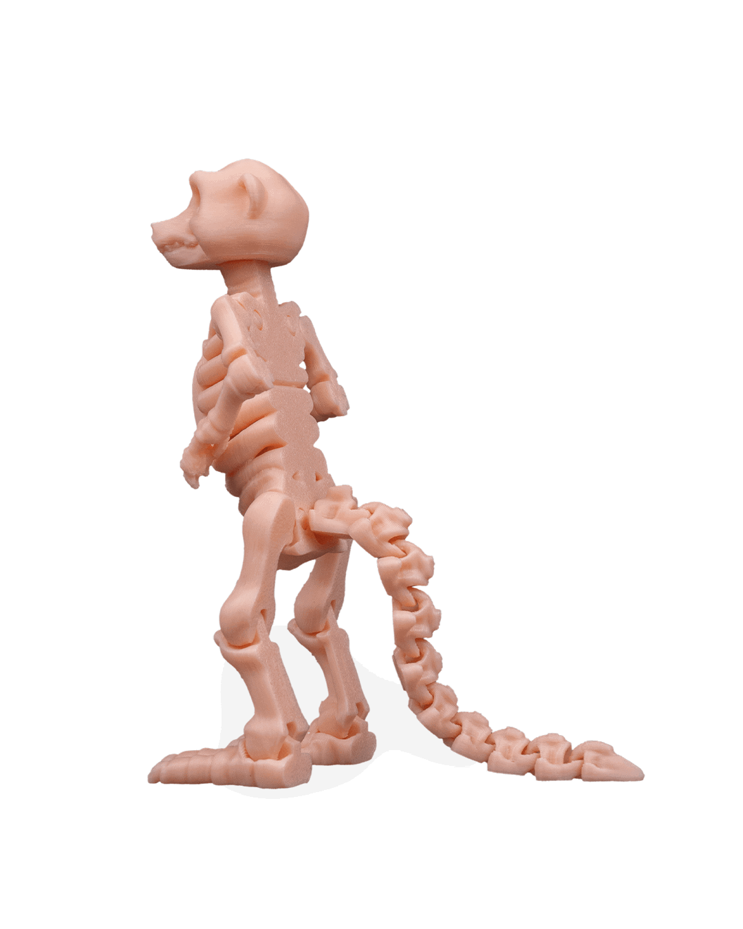 skeleton-meerkat-figuru-7f-4a1.png