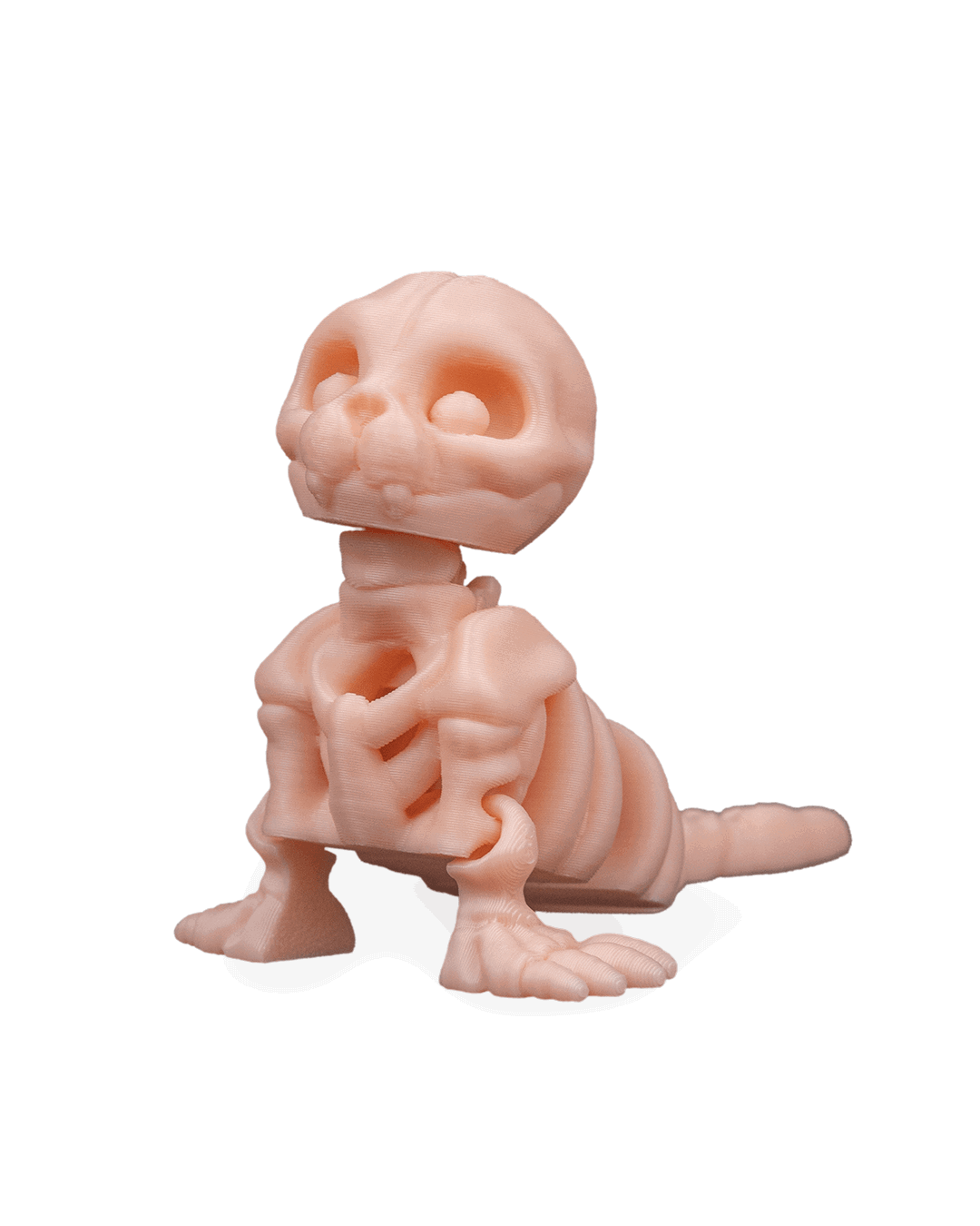 skeleton-seal-figuru-4917-b.png