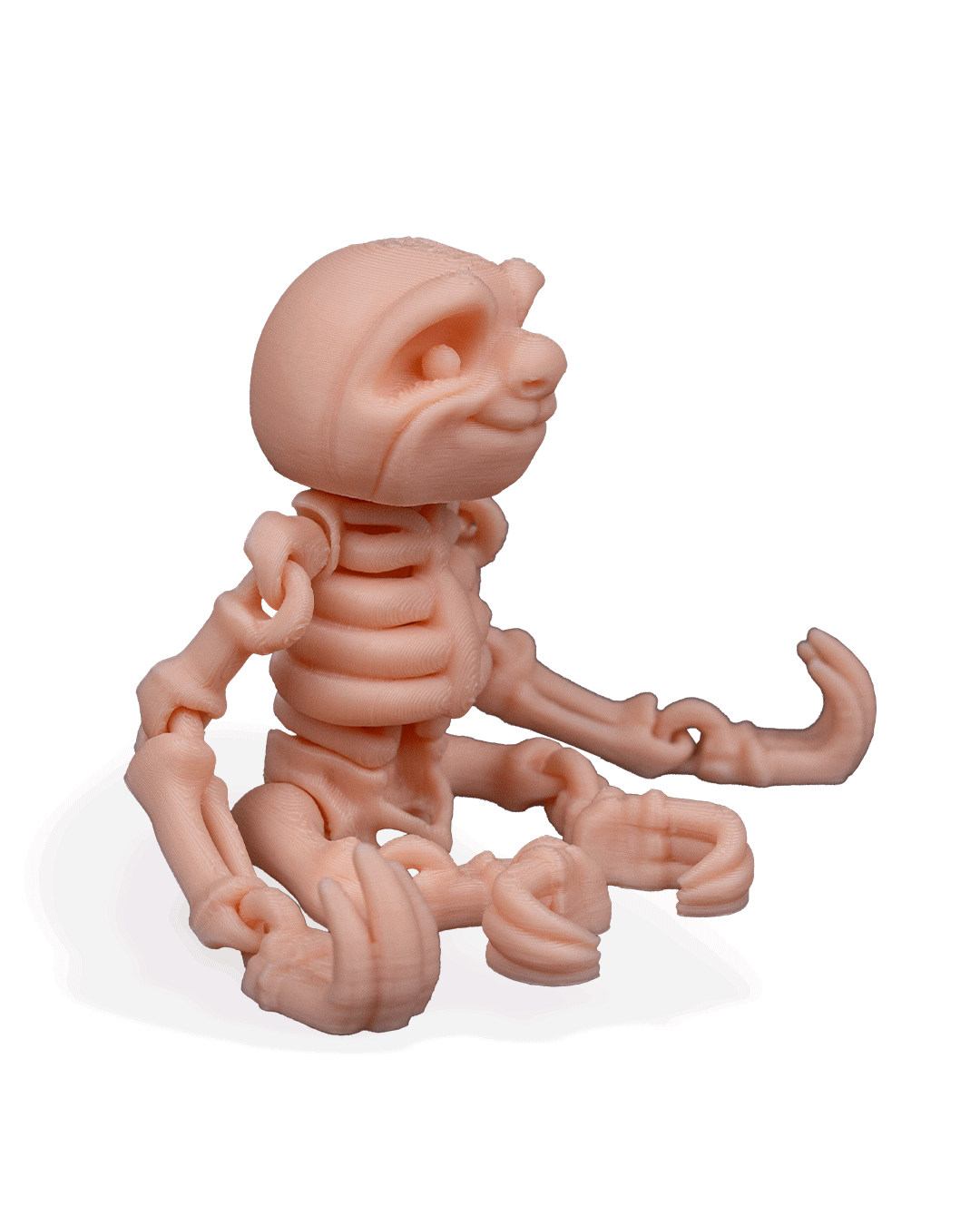 skeleton-sloth-figuru-10be1-.png