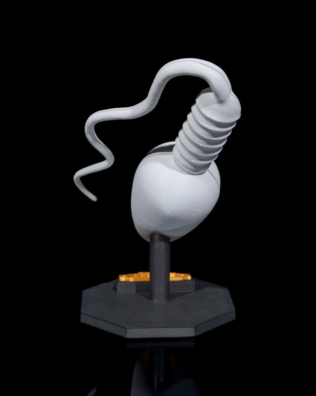 sperm-hucresi-modeli-fb-42c.jpg