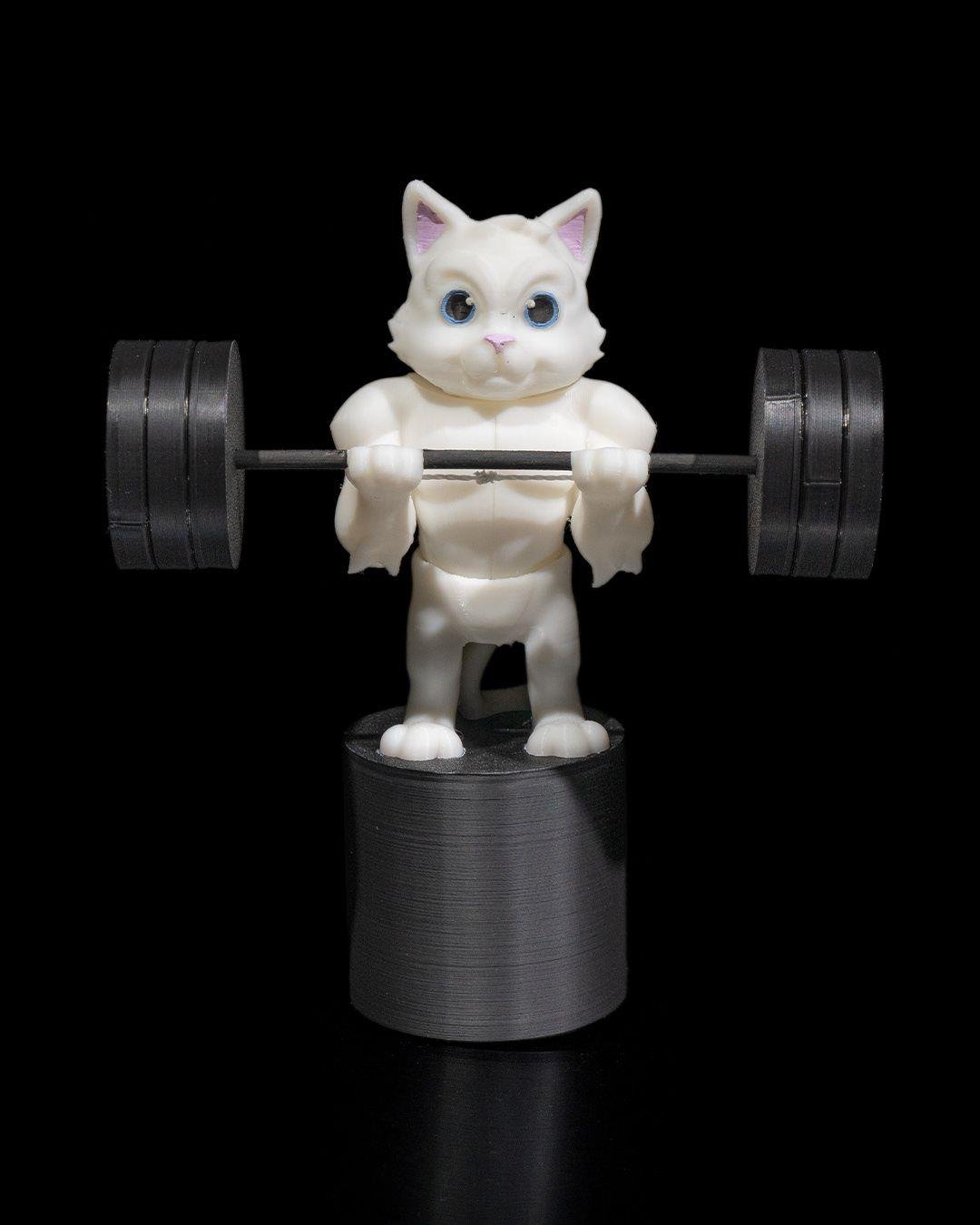 Sporcu Kedi Figürü