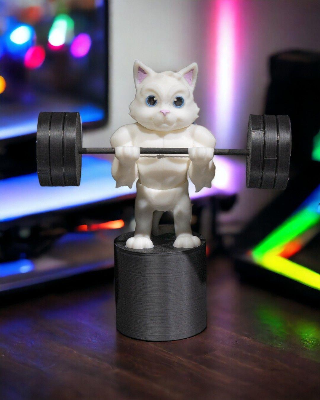 Sporcu Kedi Figürü
