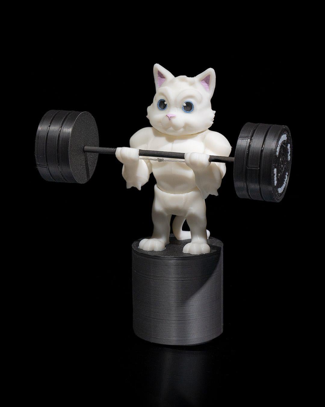 Sporcu Kedi Figürü