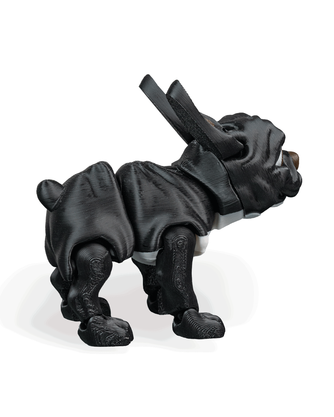 stella-the-french-bulldog-aksesuar-6-b601.png