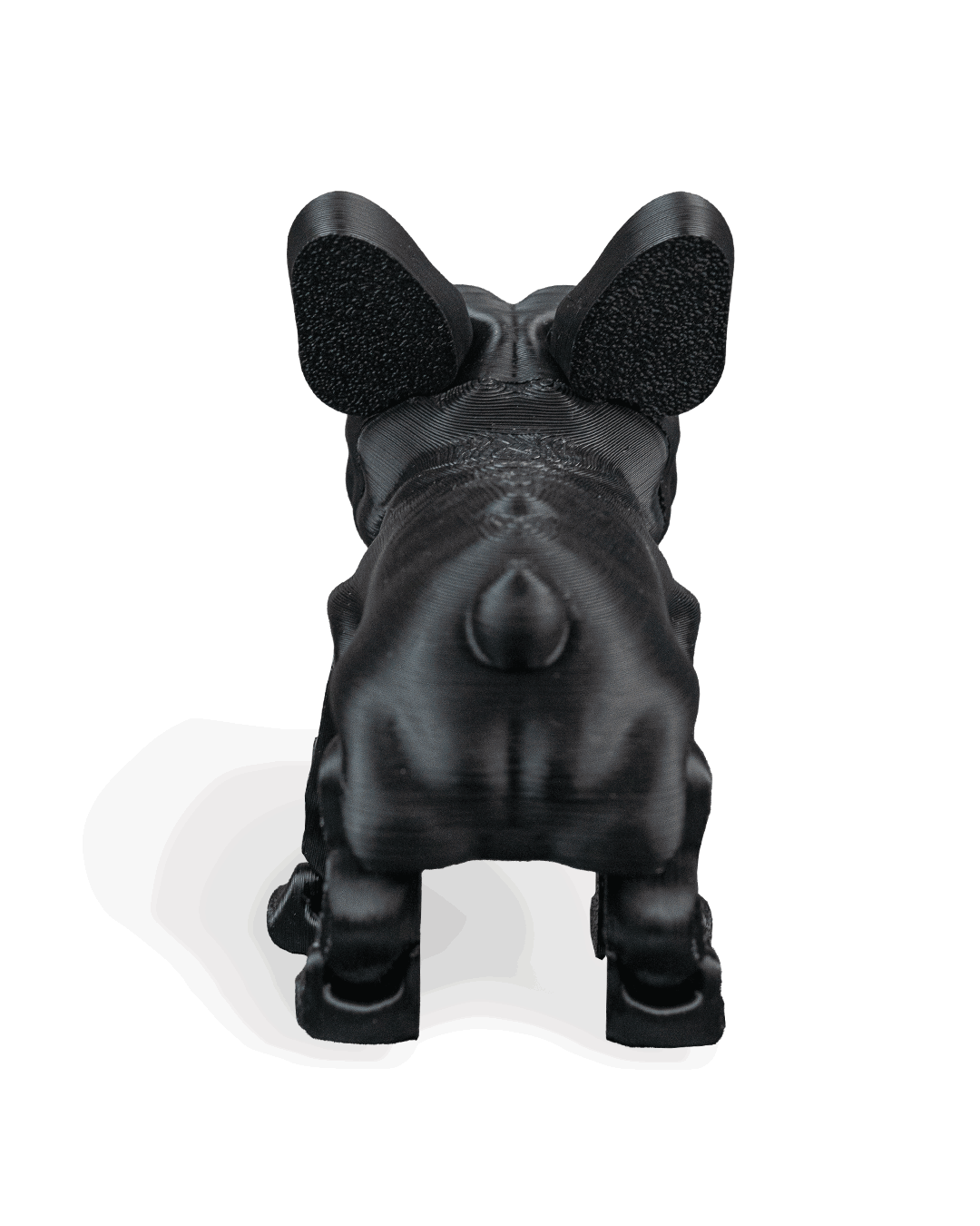 stella-the-french-bulldog-aksesuar-d913-2.png