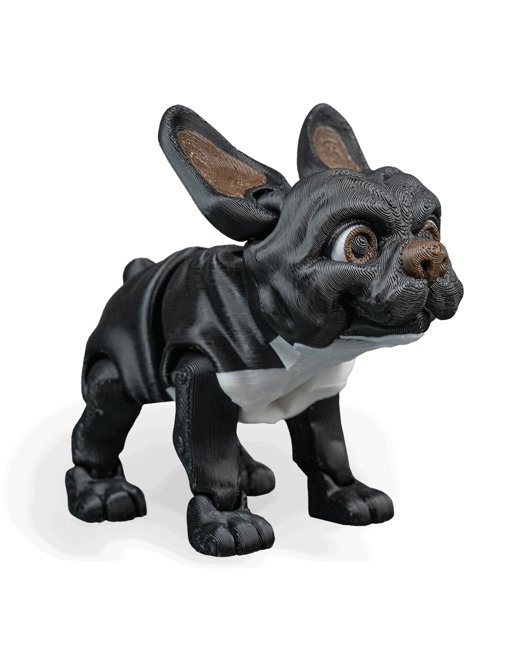 stella-the-french-bulldog-aksesuar-fbd1e8.png