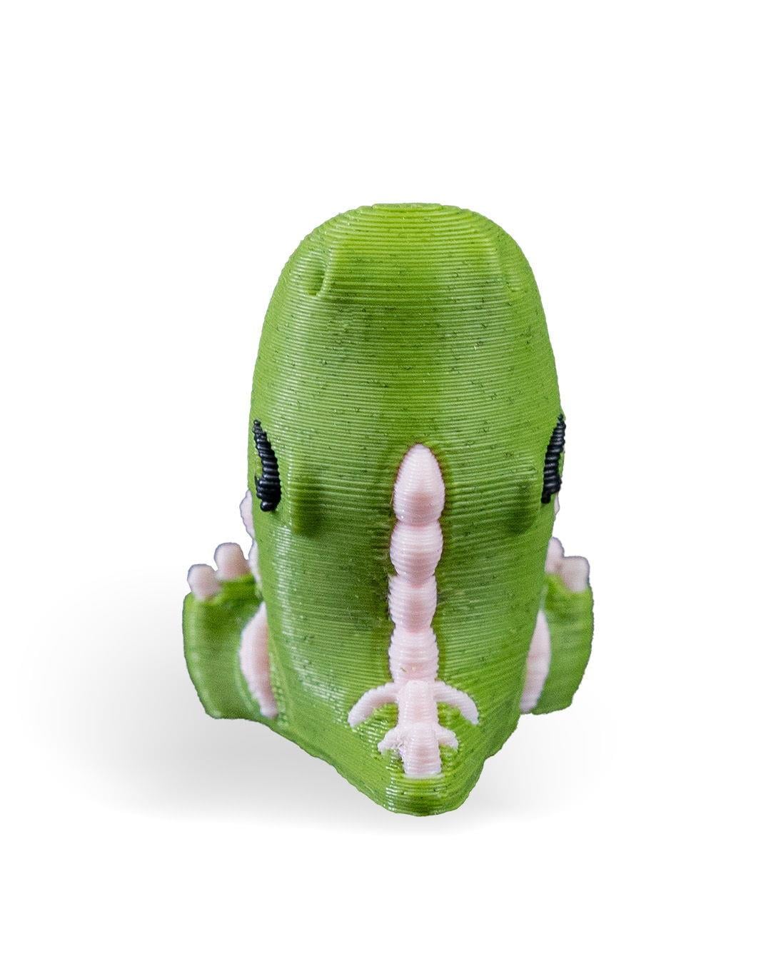 t-ear-rex-kupe-askisi-f2a-73.jpg