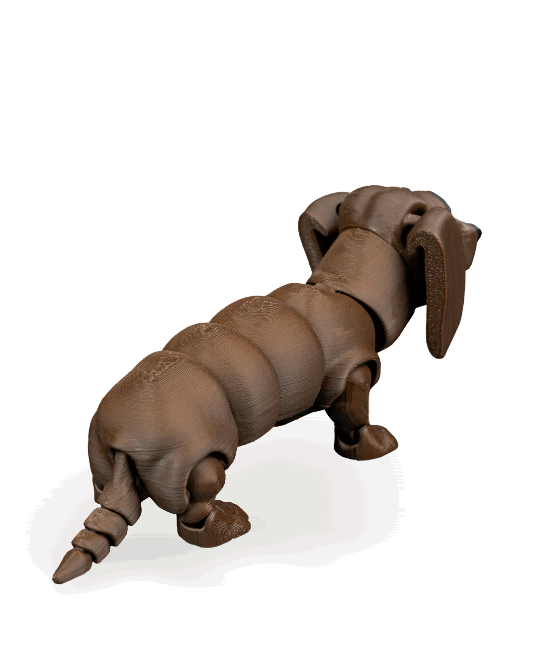 winston-the-dachshund-aksesuar-bcf-49.png