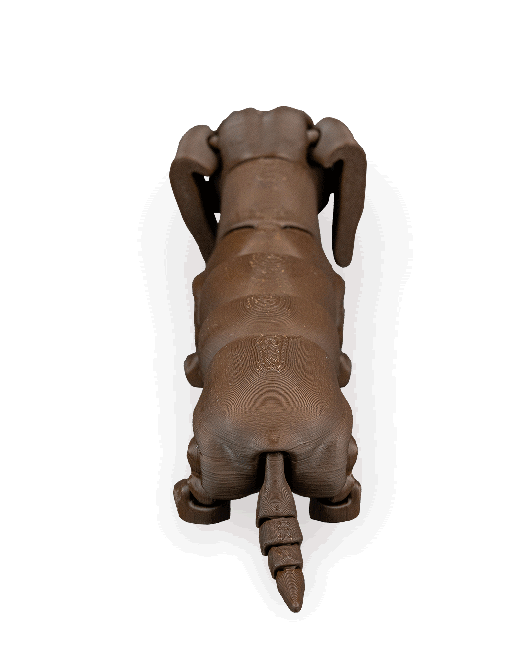 winston-the-dachshund-aksesuar-fe1f3f.png