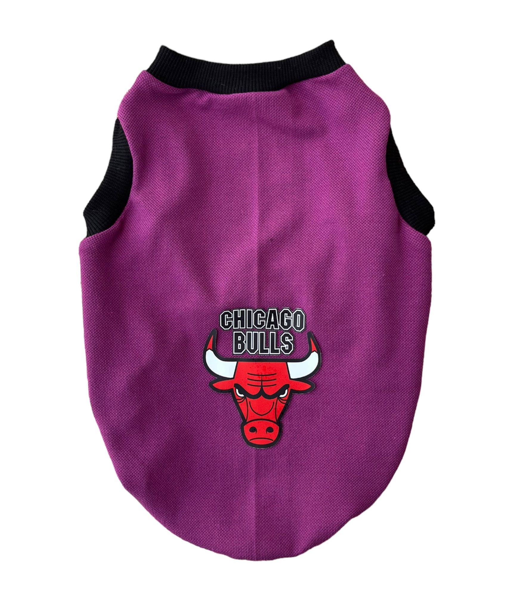 AP2257 Mor Atlet Chıcago Bulls